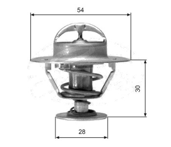 Термостат, охладителна течност GATES TH02491G1