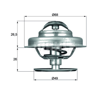 Термостат, охладителна течност MAHLE TX 62 89