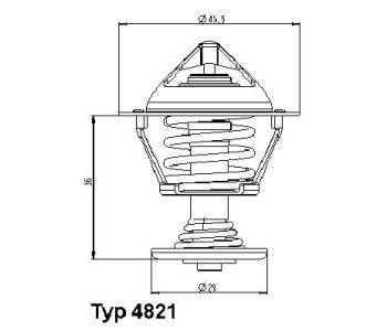 Термостат, охладителна течност BorgWarner (Wahler) 4821.89D